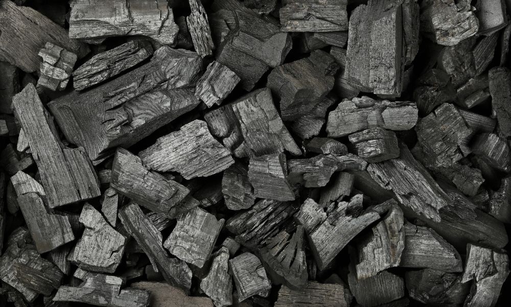 souffleur charbon barbecue manuel – X10 Maroc